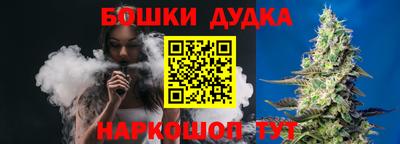стаф Будённовск