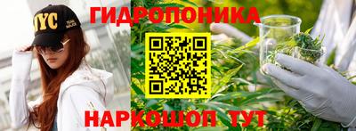 стаф Будённовск