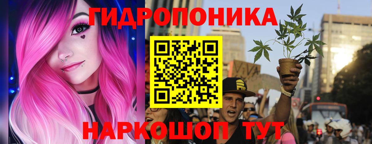 Каннабис сатива  Конопля марихуана  Сланцы  Вход с VPN  Марихуана MAZAR 